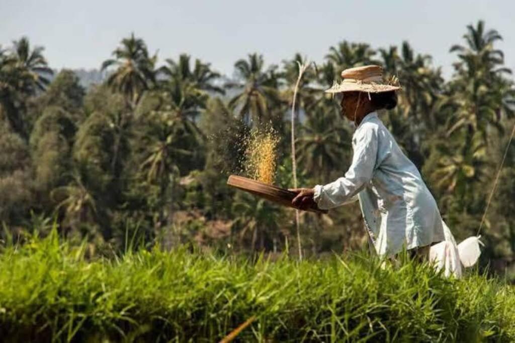Villa Mimpi Nyata Canggu Εξωτερικό φωτογραφία