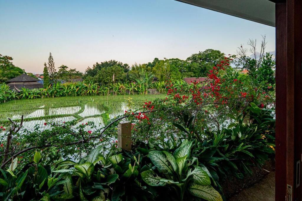 Villa Mimpi Nyata Canggu Εξωτερικό φωτογραφία